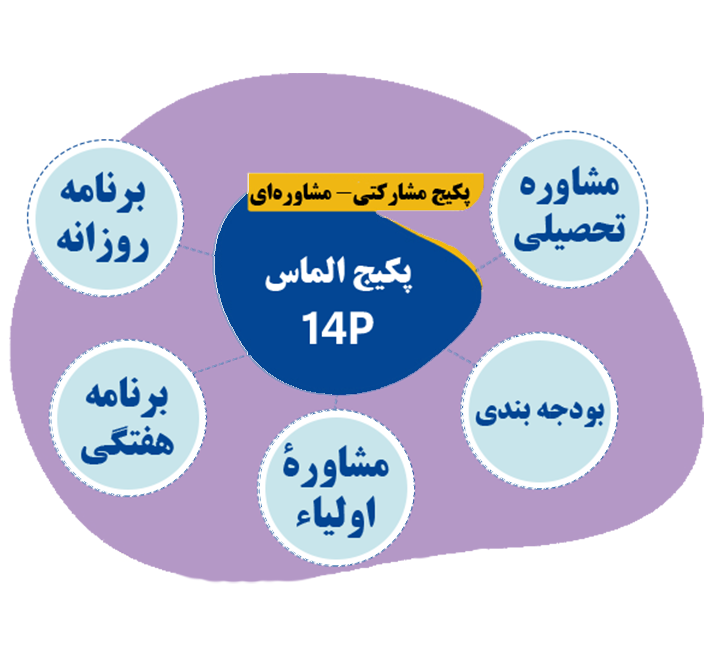 کاریزما سیستم | پکیج الماس